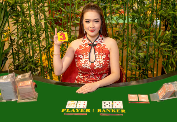 Alt Live Casino Apk Download Alt Live Casino Apk Download